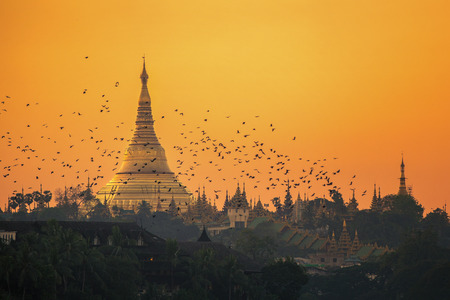 Shwedagon pagoda in Yangon city with sunset and bird, Myanmarの写真素材