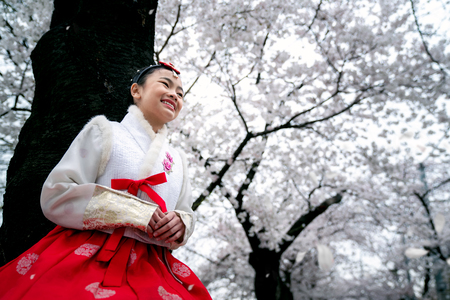 Korean lady in Hanbok dress in white cherry blossom pack in Seoul city, South Korea, this image can use for travel, sakura and holiday conceptの写真素材