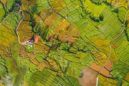 Countryside homestay in rice farm in Pua District, Nan province, Thailand. This image can use for home stay, hotel, resort, holiday, travel, park and outdoor conceptの写真素材