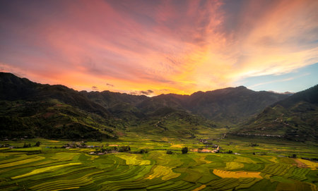 view point of rice field and terrace rice field between road to mu cang chai from Hanoi city in Tu le vilage, yen bai city, Vietnam nearの写真素材
