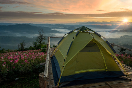 mon mok tawan, tent and camping at Tak with fog mountain and sun rise backgroung, Mon Saeng Tawan, Tak, Thailandの写真素材