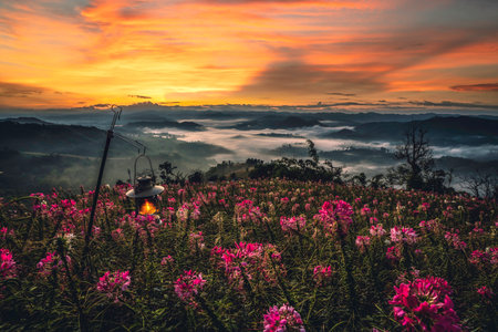 mon mok tawan the travel point of camping and adventure at Tak, Northern of Thailandの写真素材