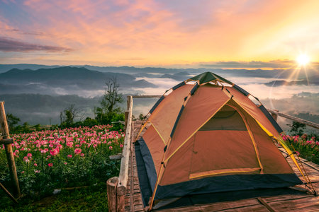 mon mok tawan, tent and camping at Tak with fog mountain and sun rise backgroung, Mon Saeng Tawan, Tak, Thailandの写真素材