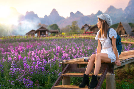 Flower in garden at Phu pha muak with asian woman traveller on Doi Inthanon mountain national park, Chiang mai, Chiang dap, Thailand on winter time about December to Januaryの写真素材