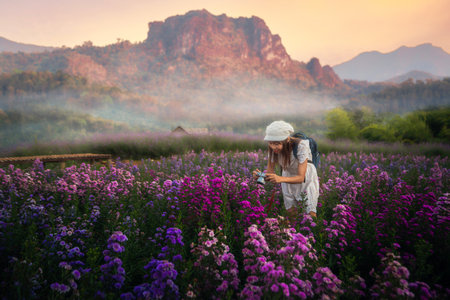Flower in garden at Phu pha muak with asian woman traveller on Doi Inthanon mountain national park, Chiang mai, Chiang dap, Thailand on winter time about December to Januaryの写真素材