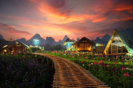 Bamboo wooded walk way and Flower in garden at Phu pha muak with morning sunrise on Doi Inthanon mountain national park, Chiang mai, Chiang dap, Thailand on winter time about December to Januaryの写真素材