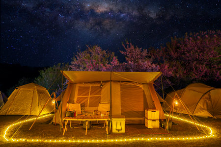 tent in camping at night time with sakura flower flower tree at night and star on backgroung  in park on top of mountain in Chiang mai, Thailand in winter timeの写真素材