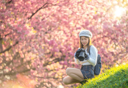 Photographer girl, Asian traveller woman take a photo by her digital camera at her tent in camping location with sakura or cherry blossom flower background at tokyo, Japanの写真素材