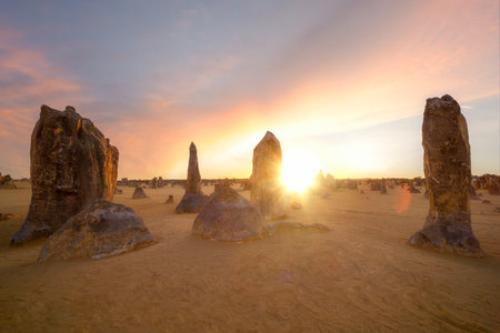 Yellow sand and sand stone rocks in the Pinnacles Desert near Perth, Western Australia.の写真素材
