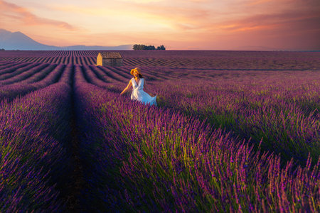 A woman traveller in field of lavender in Provence with balloon background, France.の写真素材
