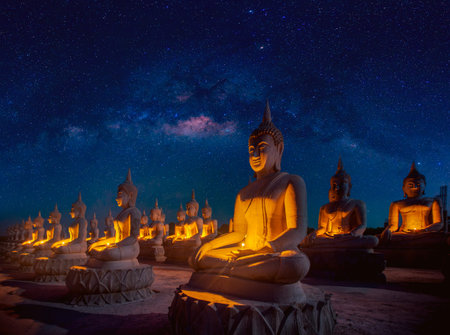 Travel and photograp location at night time, Buddha statue with star and milky way background in...