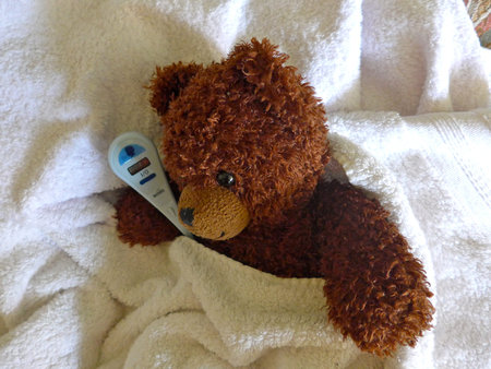 Teddy is sick