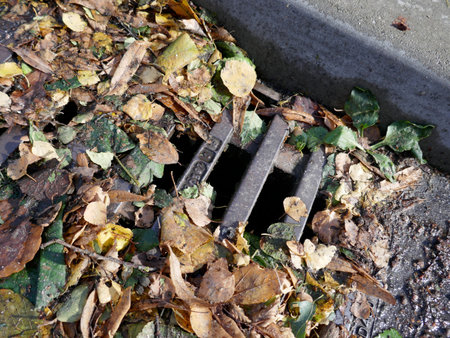 Obstructed sieve, wet leaves on the roadsideの写真素材
