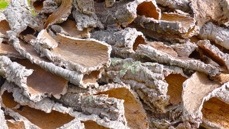 Cork, natural raw material, texture