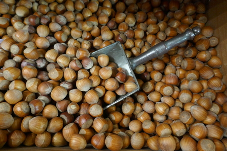 Hazelnuts with scoop, for self-service in the organic marketの写真素材