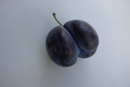 Heart-shaped plum pair, Siamese twins, Prunus domesticaの写真素材