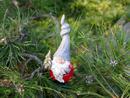 Garden gnome with a Christmas tree in handの写真素材