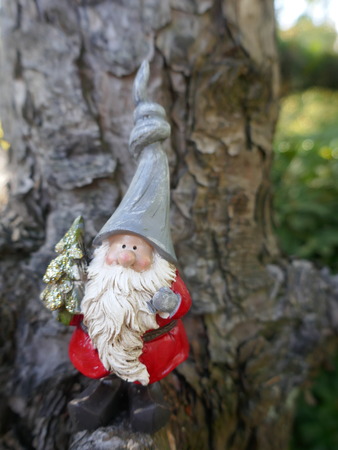 Garden gnome with a Christmas tree in front of an old treeの写真素材