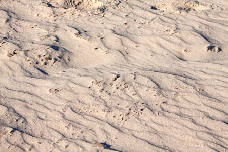 A beautiful backdrop of sand on the beach in summer Sunny day with wet tracksの写真素材