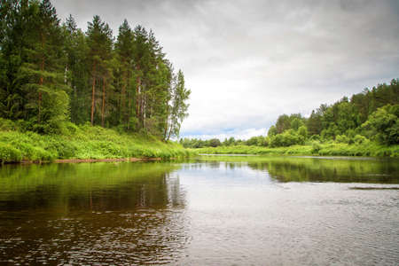 Summer rural landscape on the river on a cloudy day. The sky with gray clouds. Beautiful tall trees along the shore. Mast pines. Bright green vegetation on the banks. Fast-flowing river.の写真素材