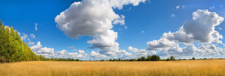 Beautiful autumn landscape with white clouds. Rural place . Panorama. Clear blue sky. Green and...