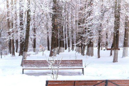 Winter landscape in the city Park on a cloudy day. Snow-covered trees without foliage. Much snow. Brown benches in the snow. Snow branch in the foreground. Blurred background.