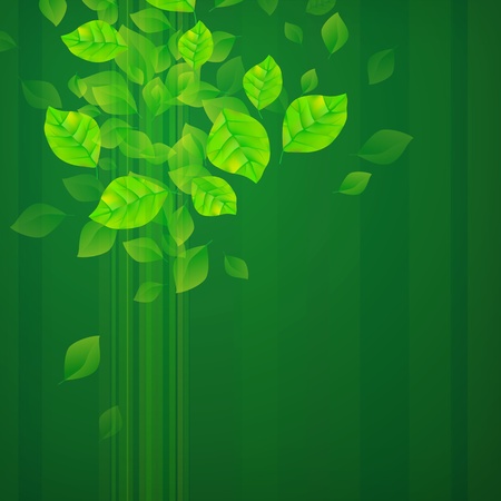 Fresh Green Backgroundのイラスト素材