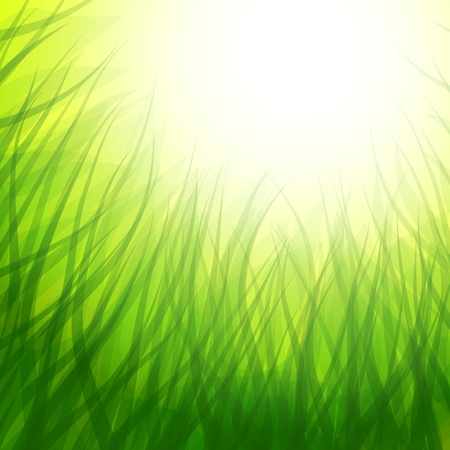 background with grass and skyのイラスト素材