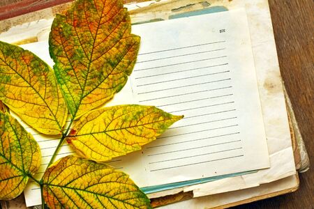 blank sheet of paper with autumn leafの写真素材