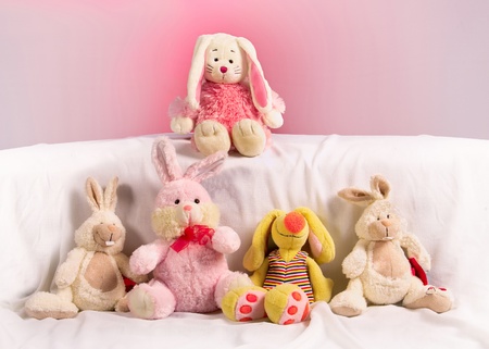 five toy rabbits on a pink backgroundの写真素材