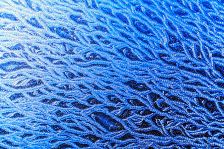blue pattern of frost on the window