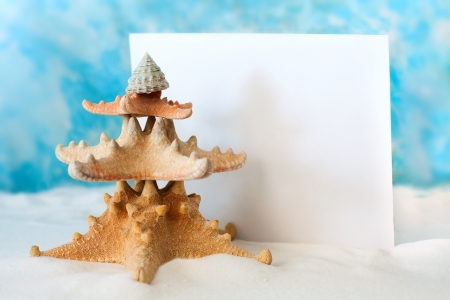 Christmas Tree from starfishの写真素材