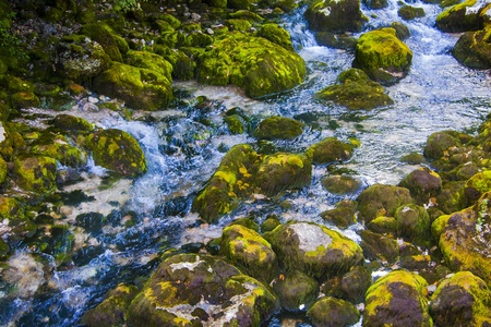 mountain stream, rocks covered with lichenの写真素材