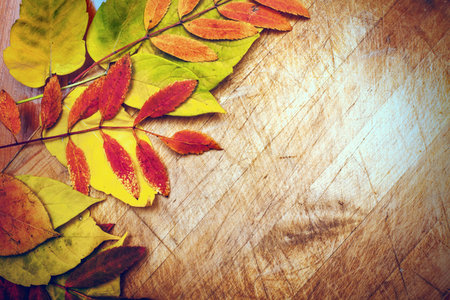 autumn leaves on a wooden surface