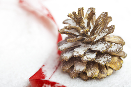 pine cone on the snow with a ribbonの写真素材