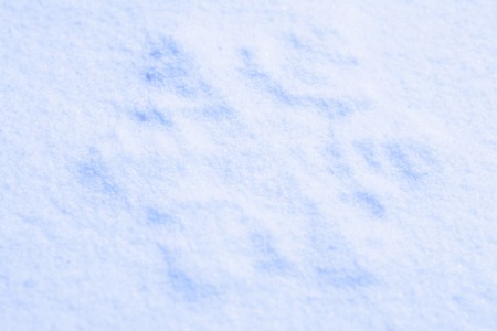 Photo blue snow and snowflakesの写真素材