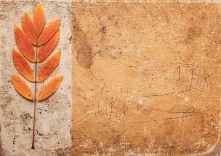 Vintage abstract texture. Autumn designed grunge background with space for textの写真素材