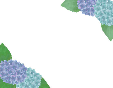 Hydrangea Frame White Backのイラスト素材