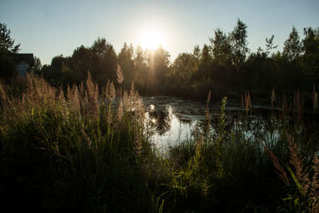 sunset over the waterの写真素材