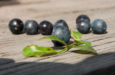 blueberriesの写真素材