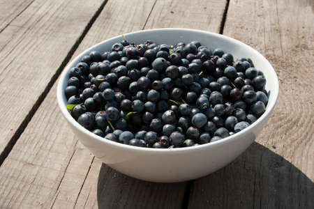 blueberries in a bowlの写真素材