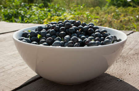 white bowl of blueberriesの写真素材
