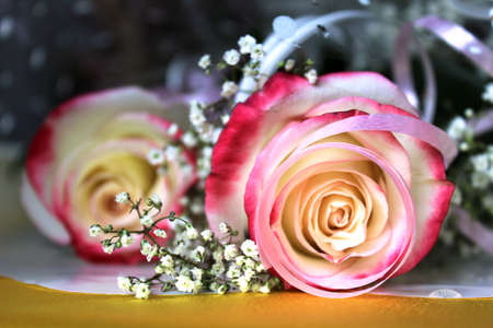  Wedding roses. A bouquet against a gilded surface.の写真素材