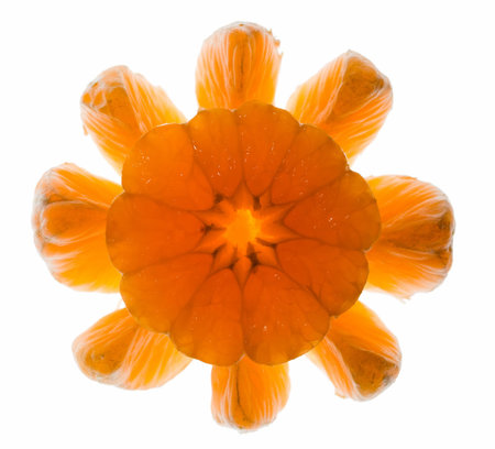 Abstract composition - peeled mandarine, backlit techniqueの写真素材