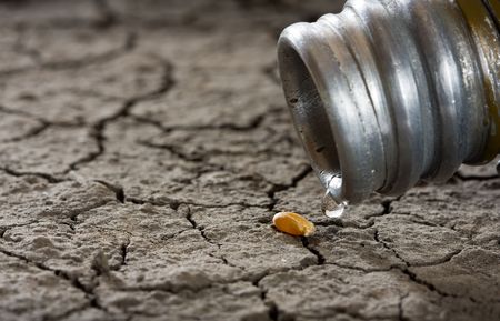 one corn and water drop on drought land as revival conceptの写真素材