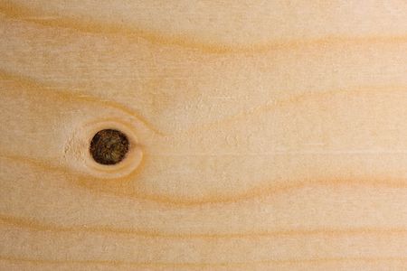 macro of wooden cut textureの写真素材