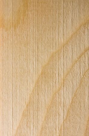 Close-up of wooden textureの写真素材