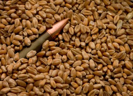 bullet over wheat grain backgroundの写真素材