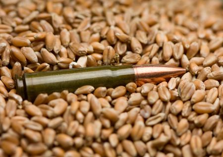 Single cartridge buried in wheat corn heap as death and life conceptの写真素材