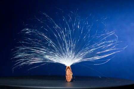 Studio macro shot of plant fuzz seed over blue backgroundの写真素材